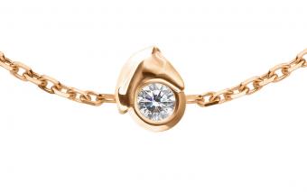 Bébé Mini Horse  - Redline