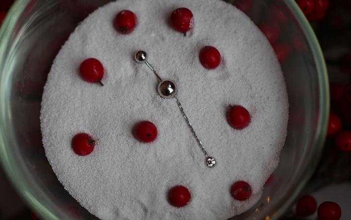 Boucle d'Oreille avec 0.10ct Diamant en Or Blanc Serti Clos - Redline - 0++