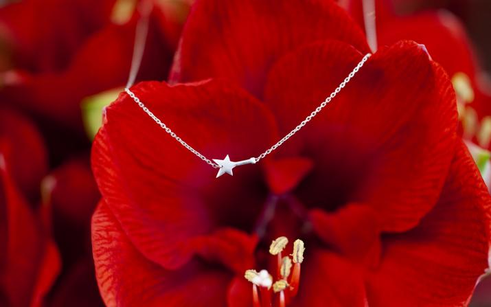 Chain Silver Necklace StarRedLine Jewelry - Redline - 0++