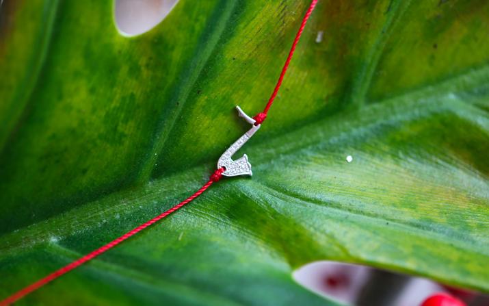 Bracelet Fil Femme avec 0.016ct Diamant en Or Blanc - Redline - 0++