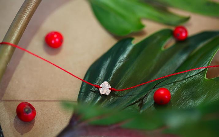 String Bracelet Coccinelle White Gold RedLine Jewelry - Redline - 0++