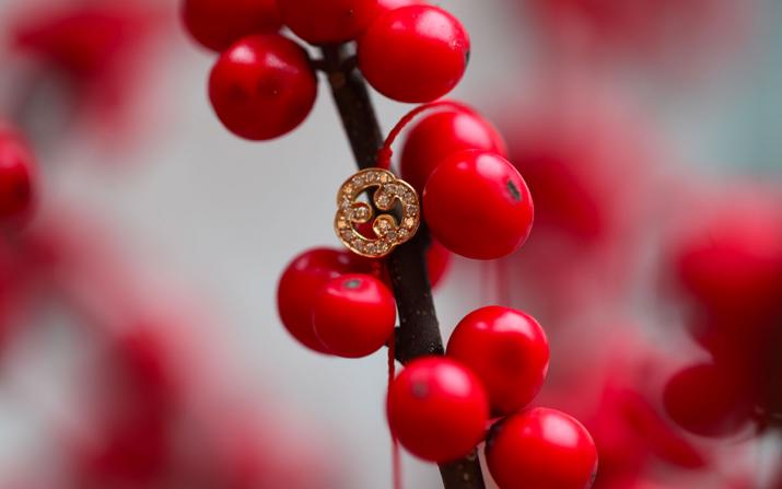 String Bracelet Trifoglio Sting Bracelet Yellow Gold RedLine Jewelry - Redline - 0++