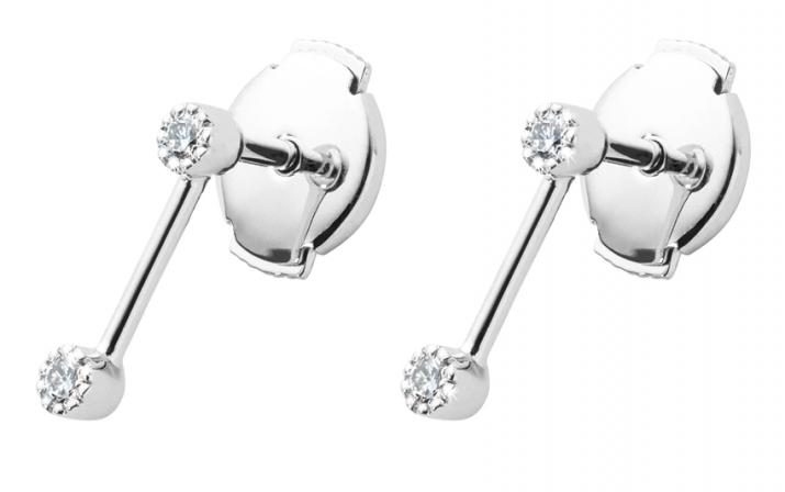 Boucles d'oreilles avec 2 diamants et tige en or blanc - Redline