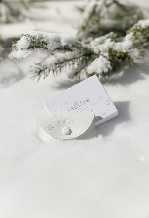 Pochette à bouton pression ornée de flocons argentés et du logo embossé - Redline - 0++