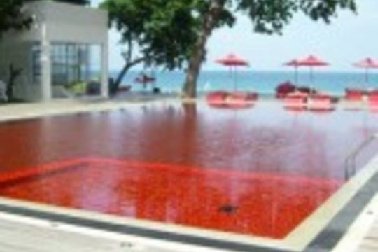 Red'inspiration