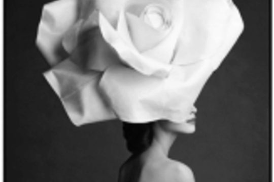 Exposition Desire de Patrick Demarchelier à La A. Galerie