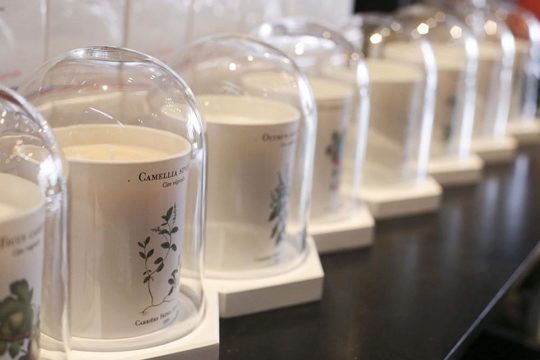 Bougies végétales de Carrière Frères