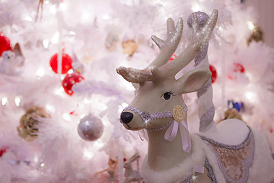 MERRY CHRISTMAS !