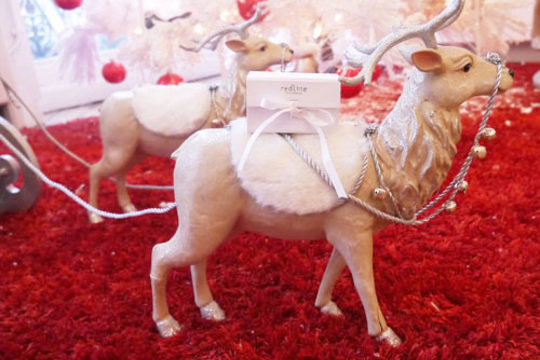 Plus que 5 jours avant Noël !