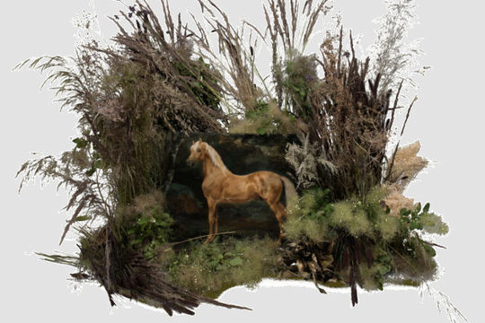 Exposition - Biennale Paris Epiphyte, Dialogue floral