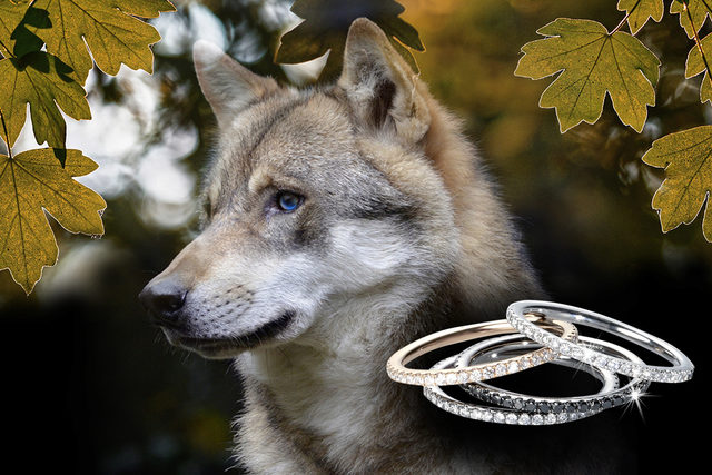À chacun son diamant