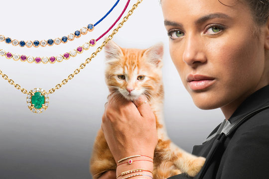 Yes, we cat !
