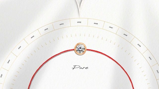 Quel sera le modèle du 20e anniversaire ?