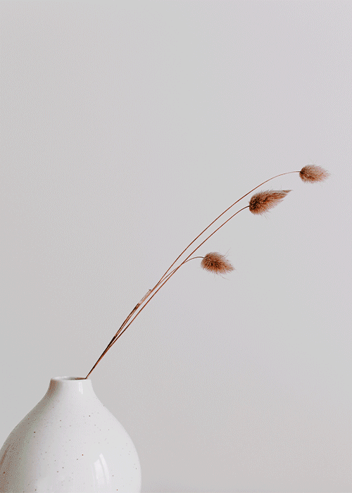 Symbole de charme et de raffinement