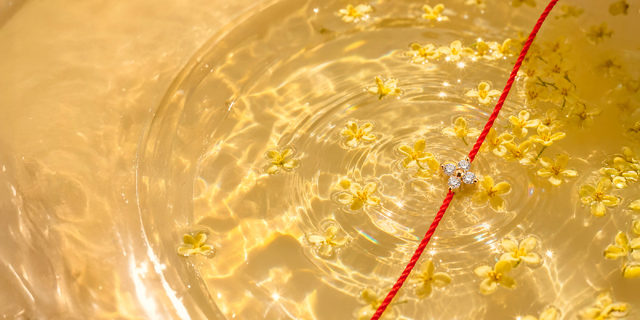 Le Bracelet Shiny, minimaliste et intemporel